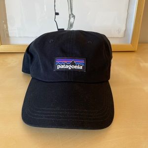 Patagonia Baseball Cap